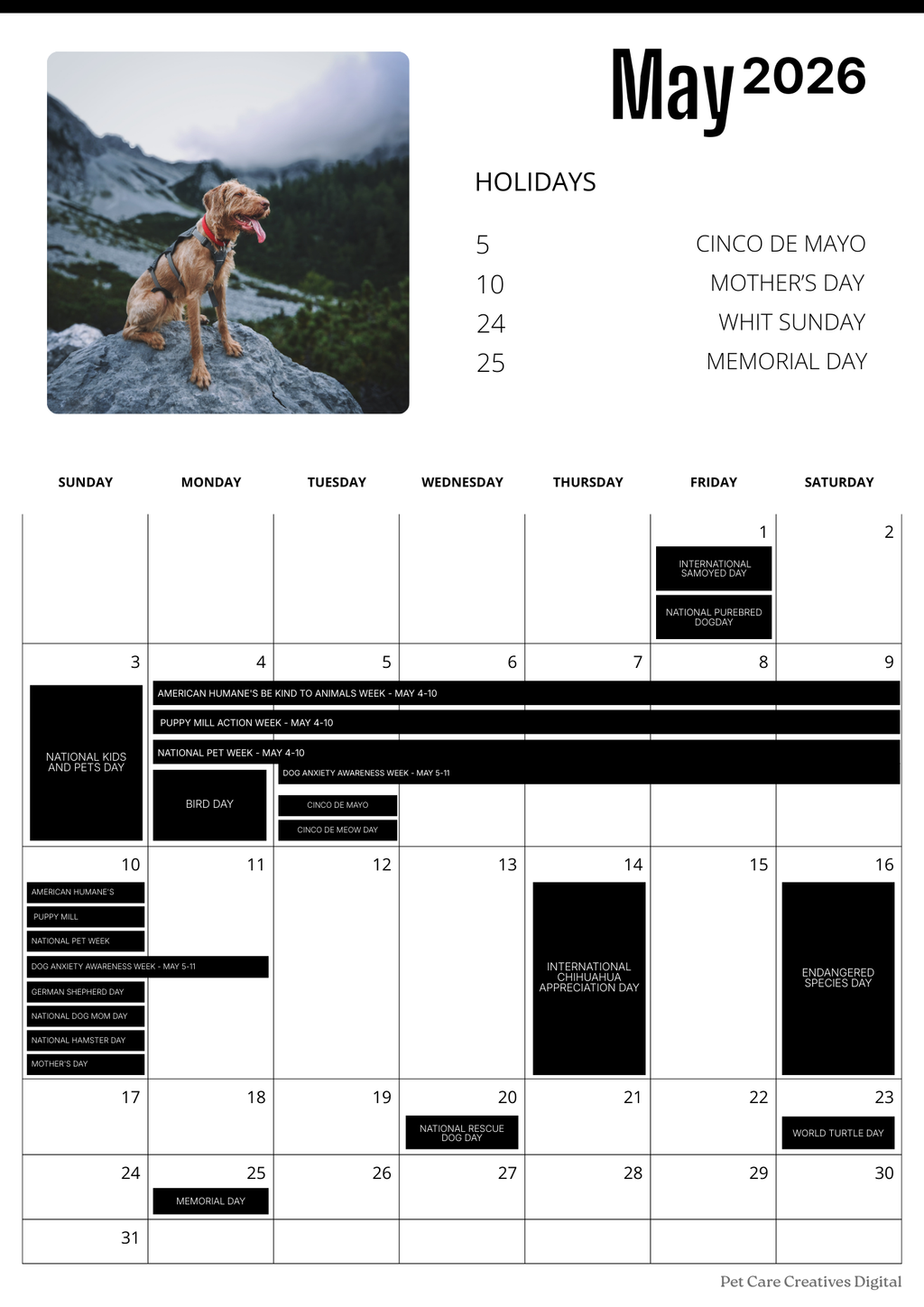 Pet Care Calendar 2026 (Printable PDF)